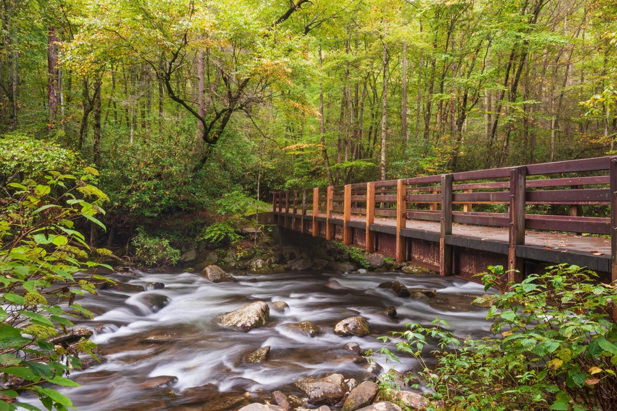 Majestic View Lodge, Amazing Views, Hot Tub, 1089 Free Tickets Each Paid Day, Dollywood And More Gatlinburg Eksteriør bilde